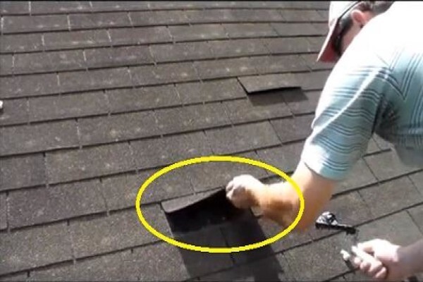 Savuti Roofing