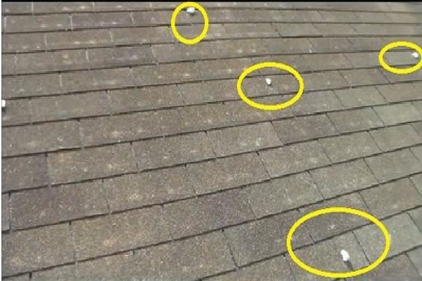 Savuti Roofing