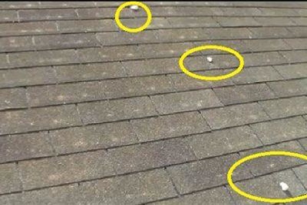 Savuti Roofing
