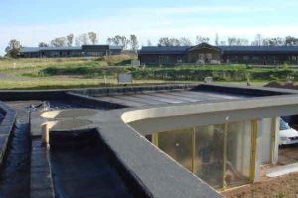 The Red Ladder Waterproofing Company
