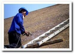 Cintsa Thatching And Roofing