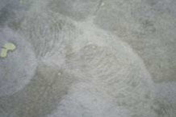Sacivil & Anti Corrosion Specialists