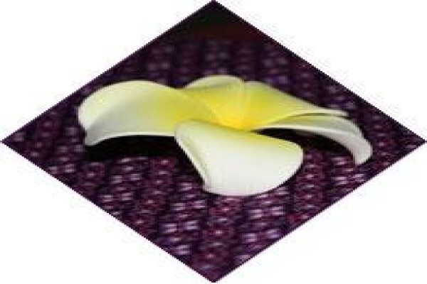 Puri Thai Massage