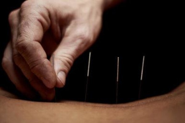 House Of Holistic Health