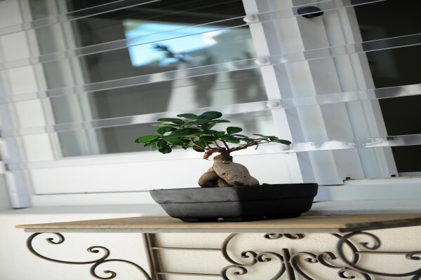 Viewprotect - Armed, Transparent Burglar Bars