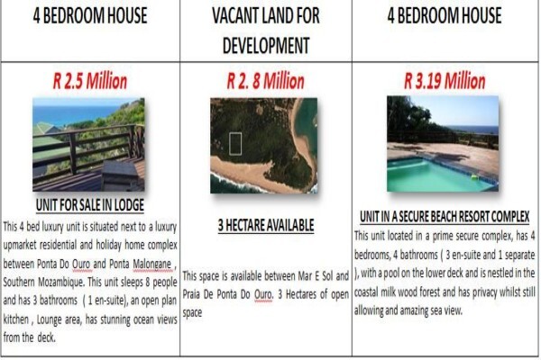 Mozambique Properties
