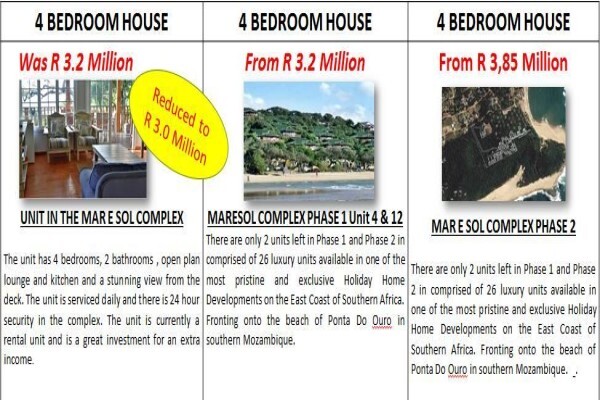 Mozambique Properties