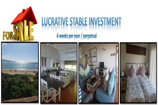 Mozambique Properties