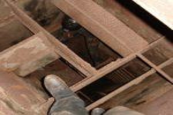 Isps Intense Stowaway Prevention Security