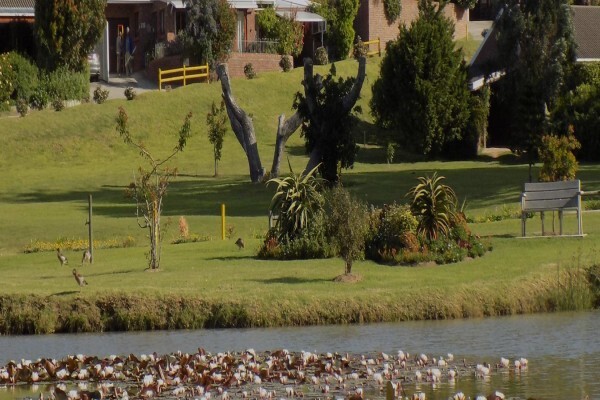Settlers Park