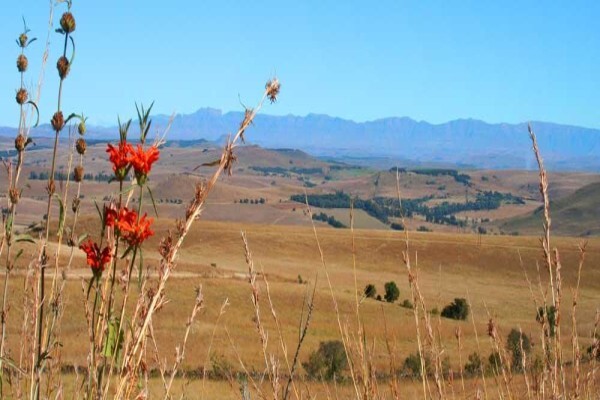 The Braeside Butchery
