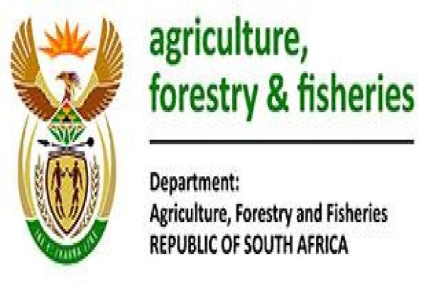 Amie