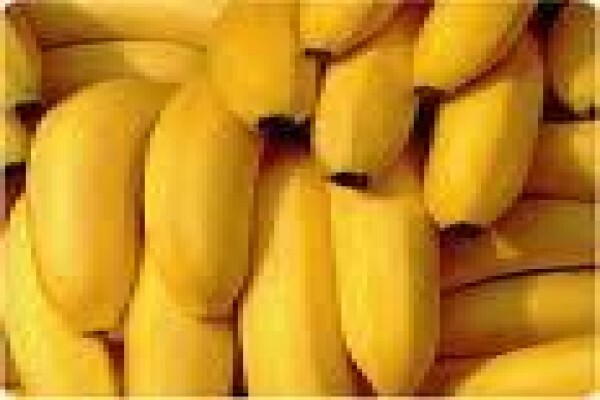 Mamphengwa Nutrition