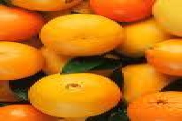 Mamphengwa Nutrition