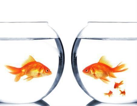 Wellmanns Mediation Attorneys