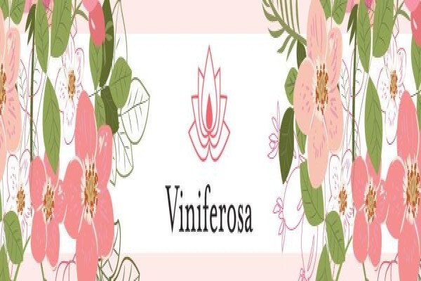 Seed Oil Sa
