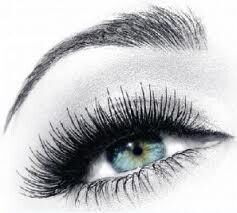 Neeta'S Brow Studio