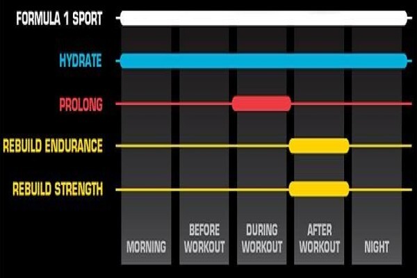 Ingtelligent Nutrition