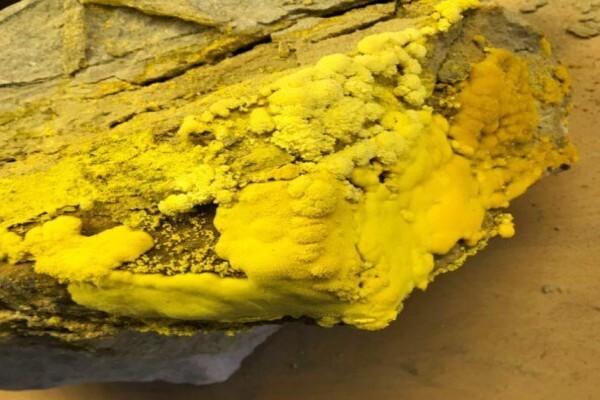 Arizona Mining Association