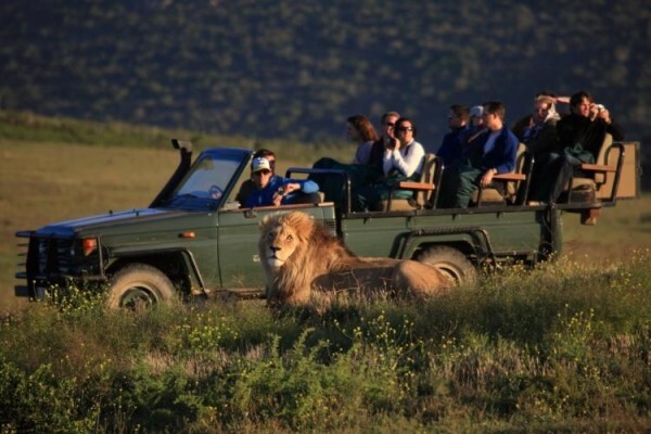 Mlm Travel (Pty) Ltd