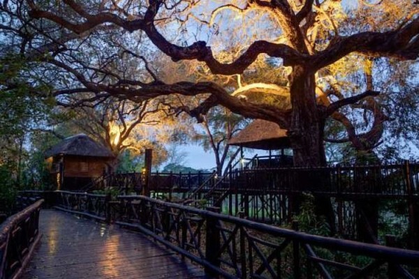 Mlm Travel (Pty) Ltd