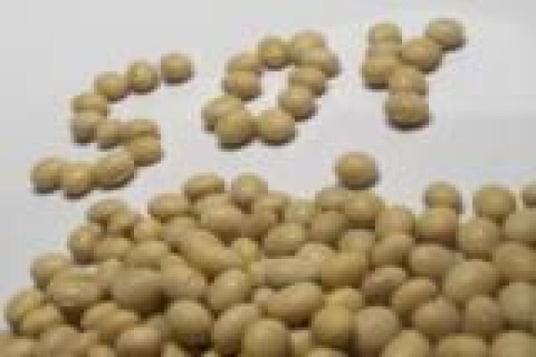 Soya Food