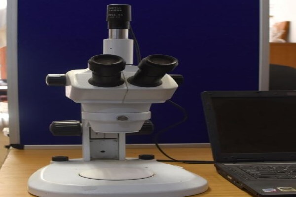Xrd Analytical & Consulting
