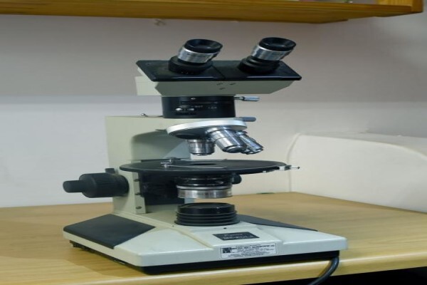 Xrd Analytical & Consulting