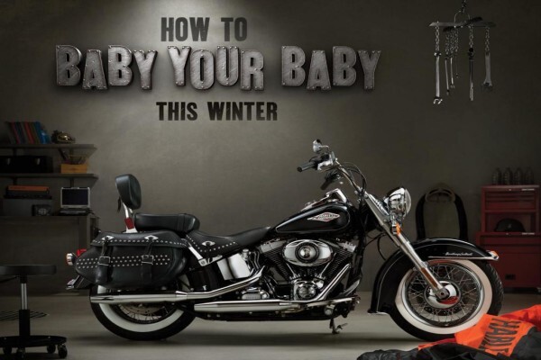 Hog Cape Town Chapter