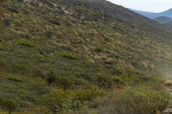 Motorbikehire.Co.Za - Adventure Motorcycle Rentals And Guided Tours