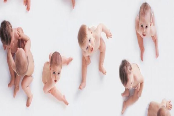 Adam Group