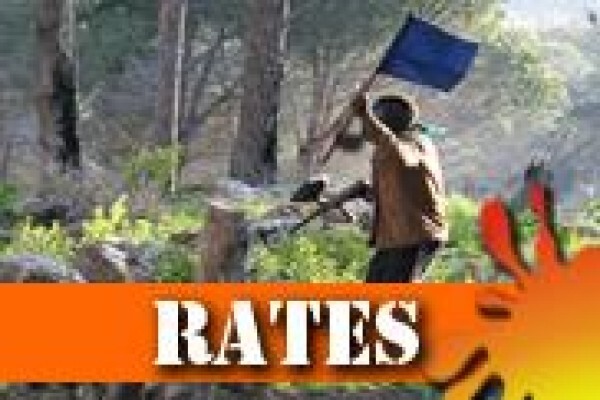 Action Paintball Games