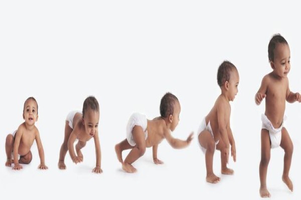 Adam Group