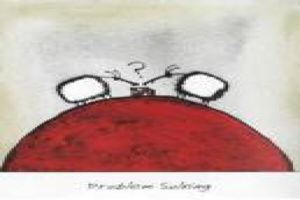 Drd Consulting