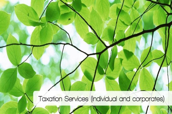 Jacques F Stroebel Ca(Sa), Registered Auditor