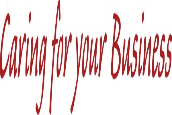 Business Soul Accounting Cc