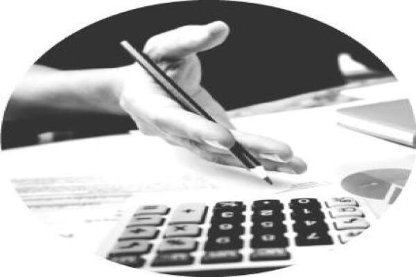 Sdk Chartered Accountants