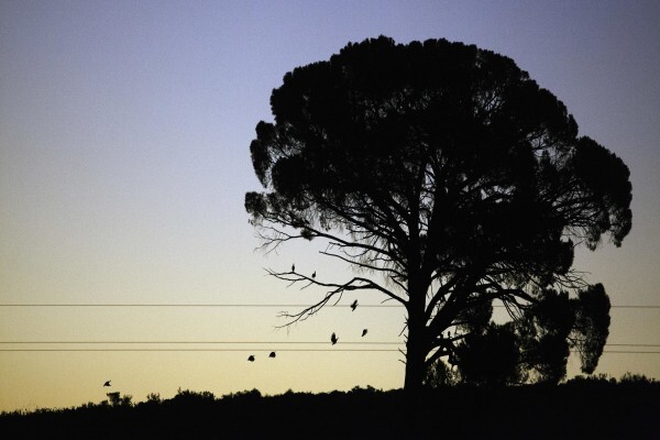 Waverley Hills