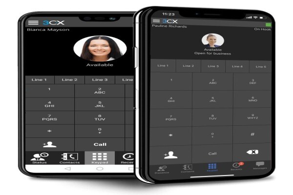 Business Phone System (Pabx)
