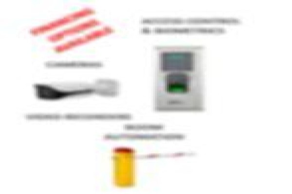 Red Networks Pty Ltd