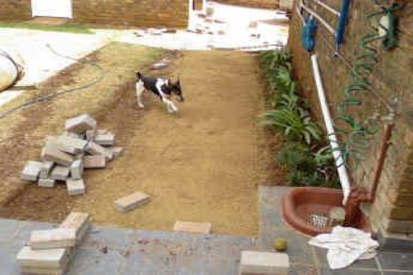 Canarypave & Renovations