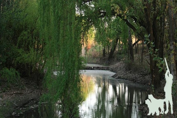 Waterhaven