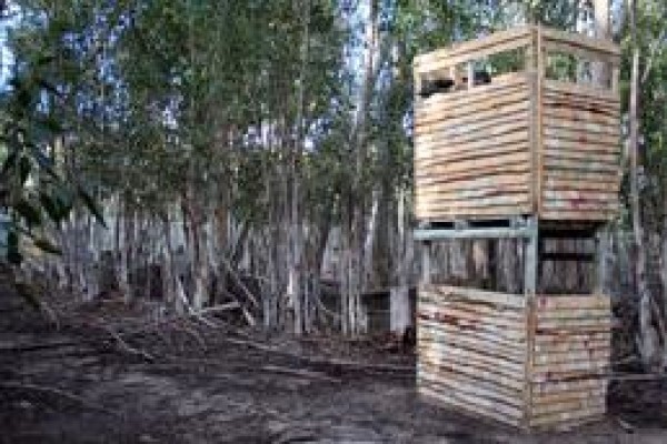 X Paintball