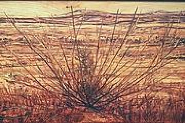 Swifts Fine Art