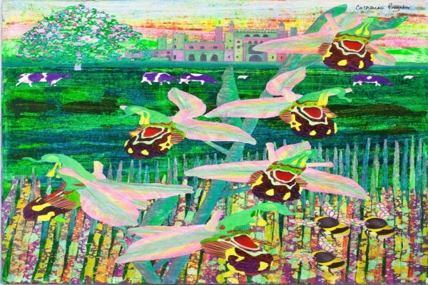 Catherine Paynter