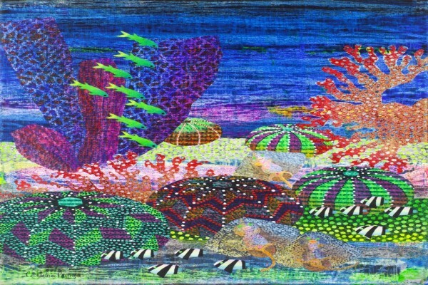 Catherine Paynter
