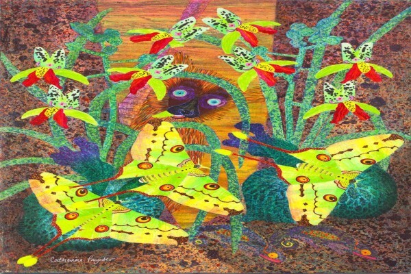 Catherine Paynter