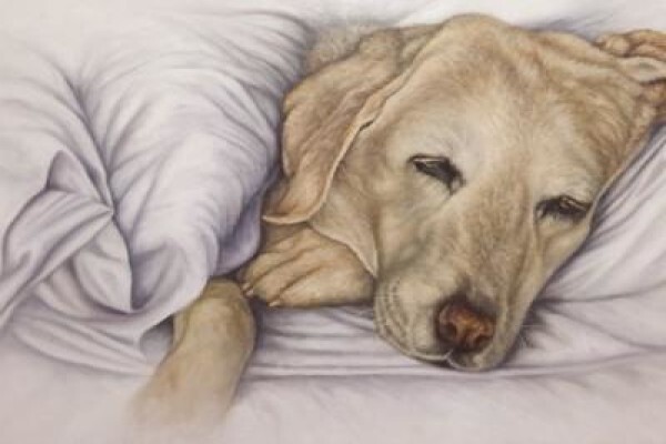 Wendy Beresford Art