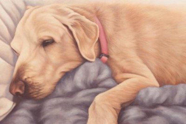 Wendy Beresford Art