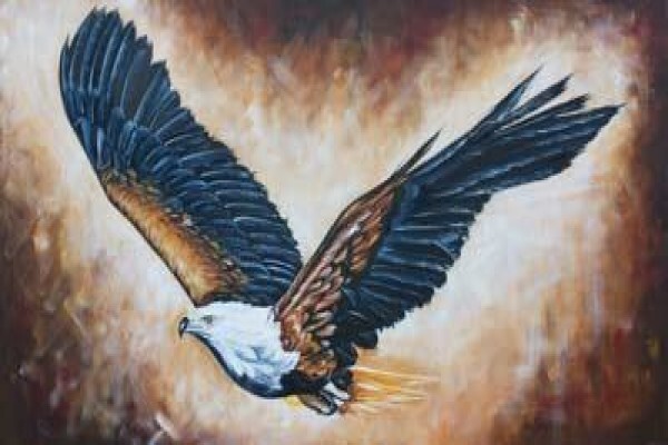 Art Of Kleyn